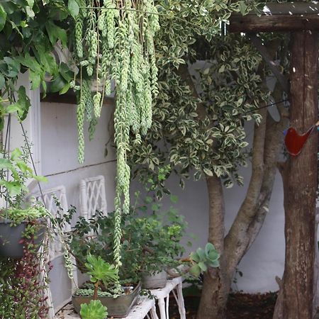 Gilcrest Place Guest House Paternoster Buitenkant foto